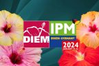 DIEM @ IMP Essen 2024